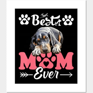 Best Mom Bluetick Coonhound Dog Ever Women Love Mother Posters and Art